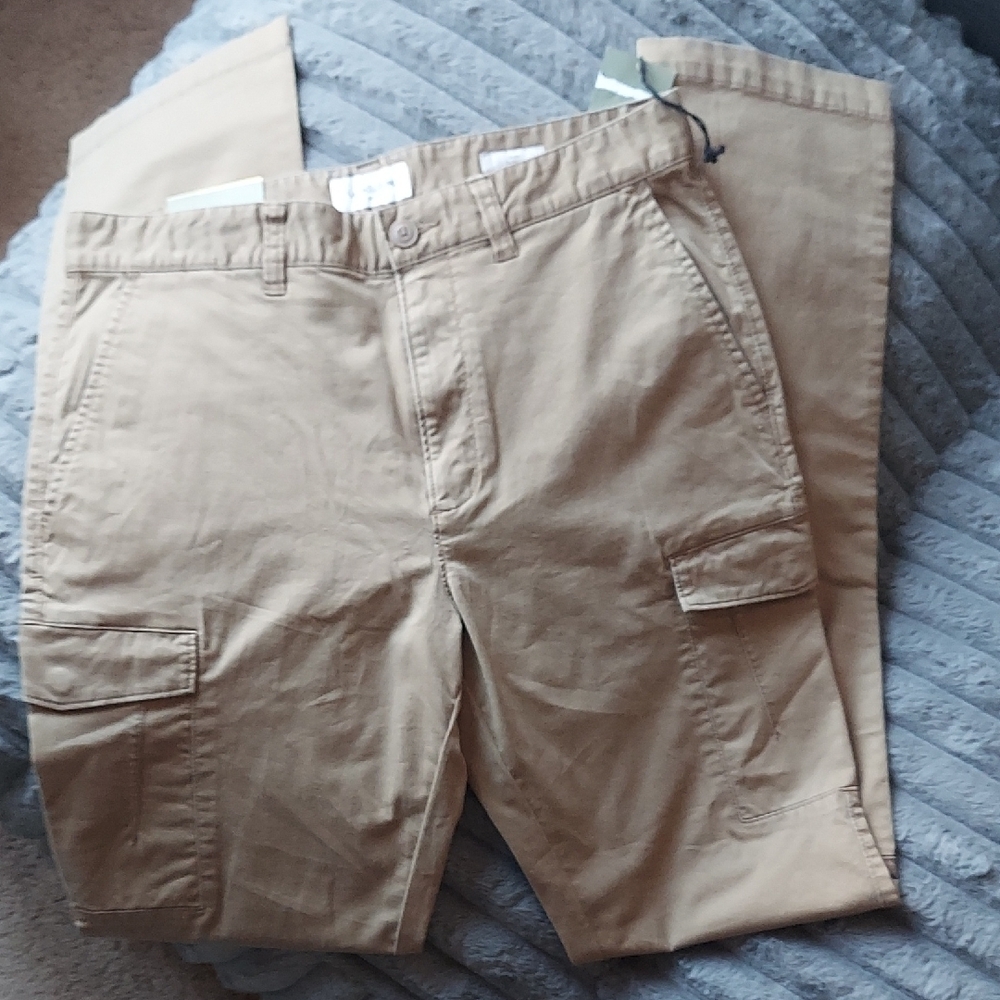 Goodfellow & Co Tan Cargo Pants with Versatile Style